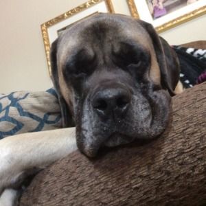 Meet your Posher, Brian